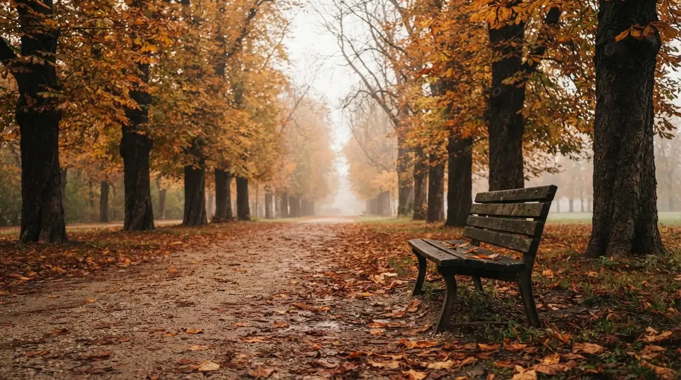 Eine Parkallee mit Kastanienbäumen und einer leeren Bank, Herbstlaub bedeckt den Kiesweg.
