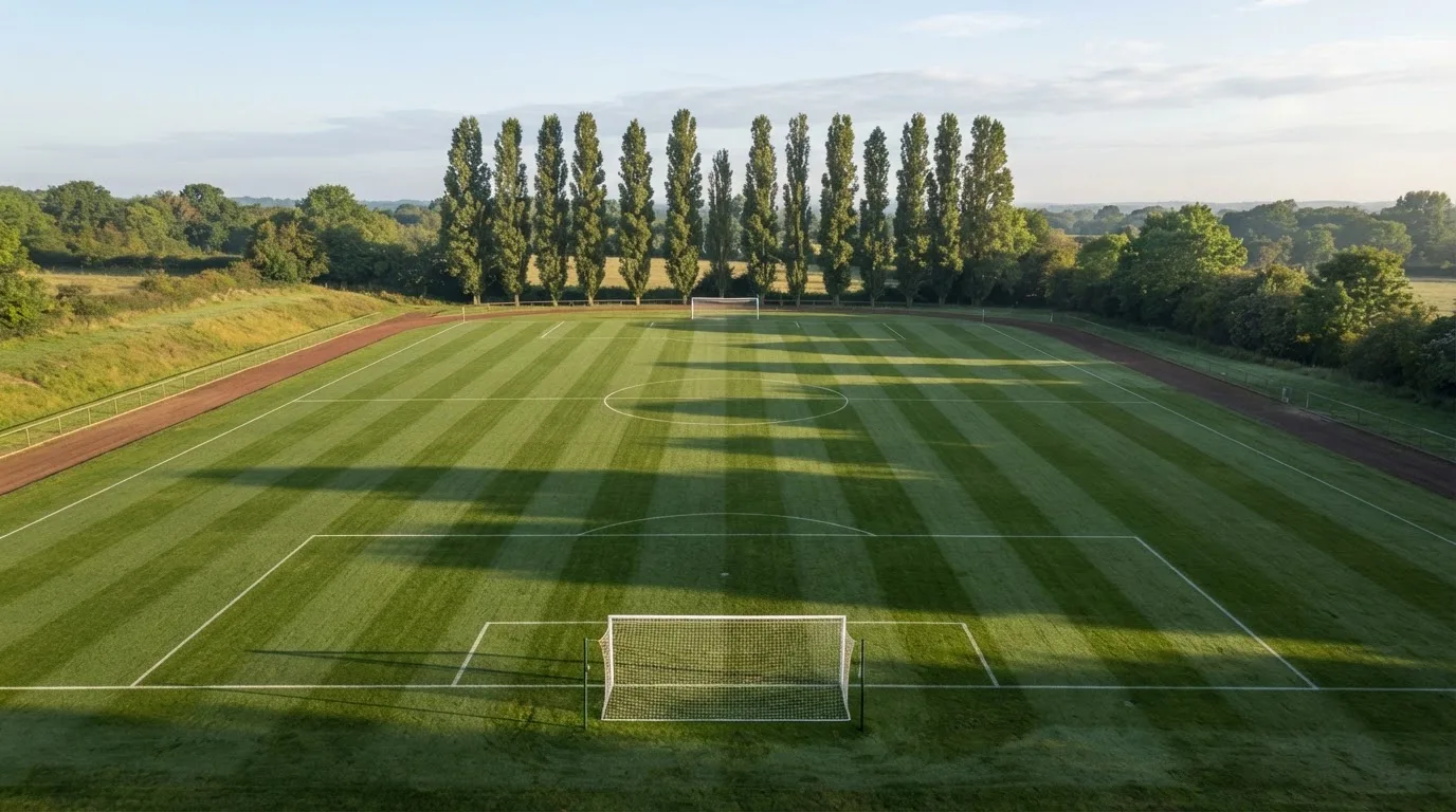 Ein leerer Fussballplatz mit weissen Linien von oben gesehen im Morgenlicht, am Rand stehen zwei Tore und eine Reihe Pappeln.